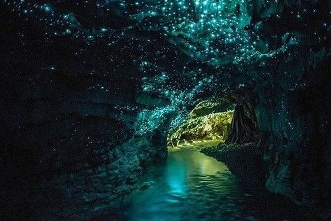 Waitomo Glowworm Caves and Auckland City Tour a Day Trip - Viator Support