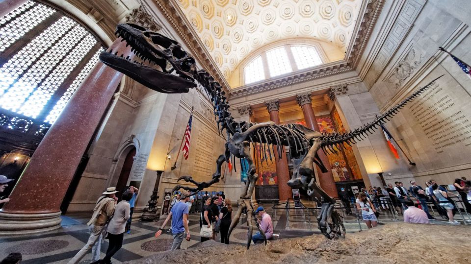 Washington DC: Museum of Natural History Private Guided Tour - Common questions