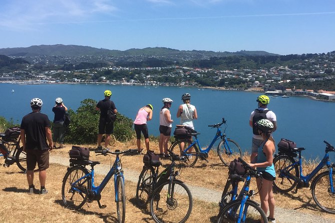 Wellington Electric Bike Tour - Common questions