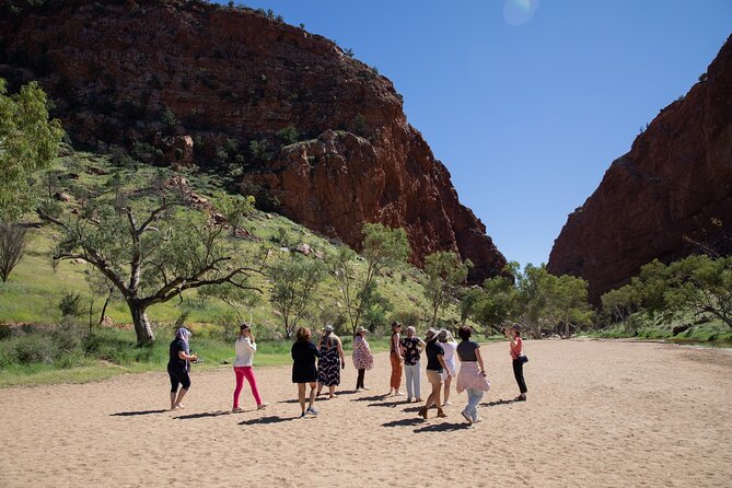West Macdonnell Ranges & Standley Chasm Day Trip From Alice Springs - Common questions