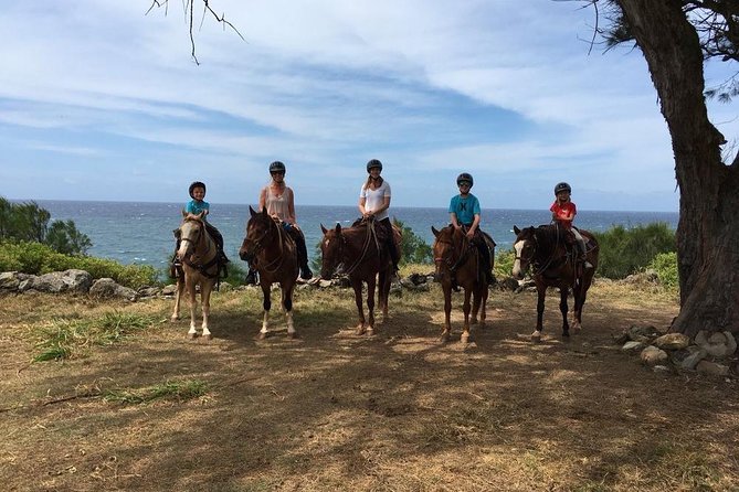 West Maui Mountain Waterfall and Ocean Tour via Horseback - Sum Up