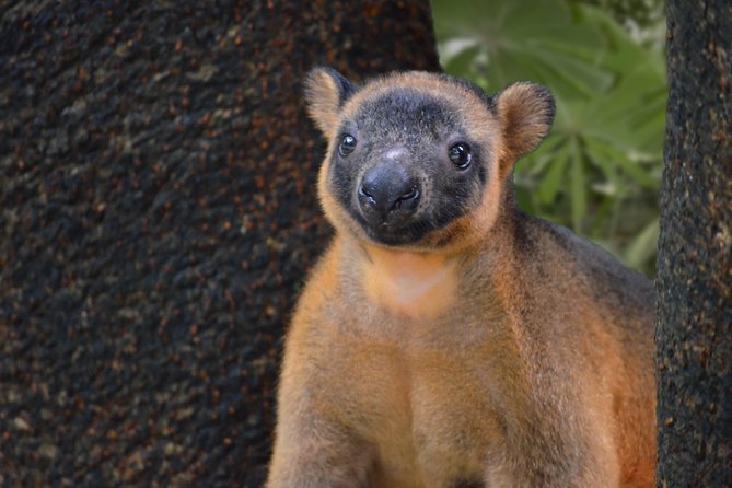 Wildlife Habitat Port Douglas - Sum Up