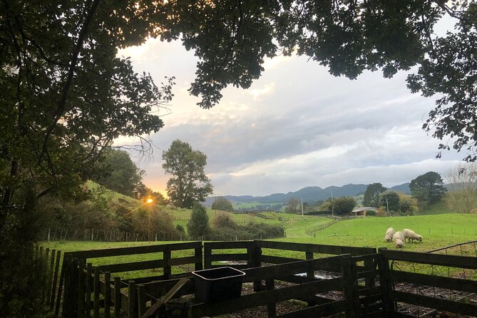 Wool Sheep Farm Experience With Handmade Wool Hat in New Zealand - Hat Crafting Process