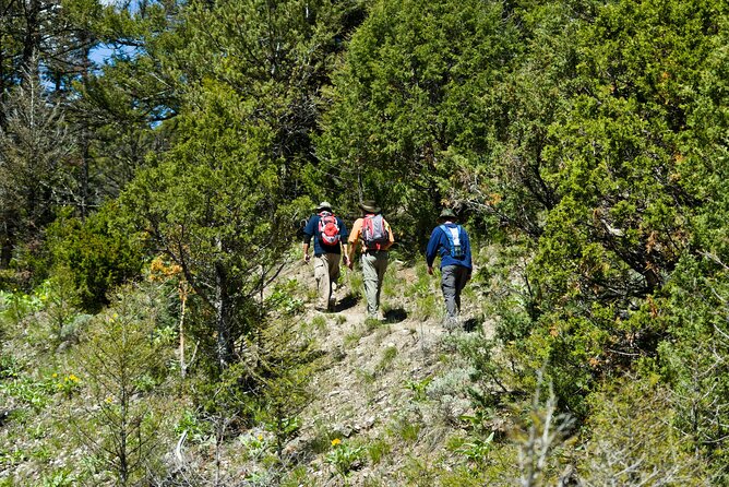 Yellowstone Full Day Private Tour - Sum Up