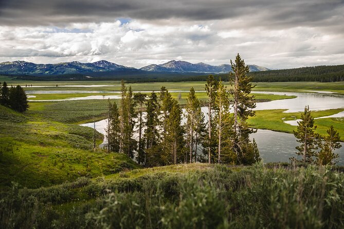 Yellowstone National Park Tour From Jackson Hole - Sum Up