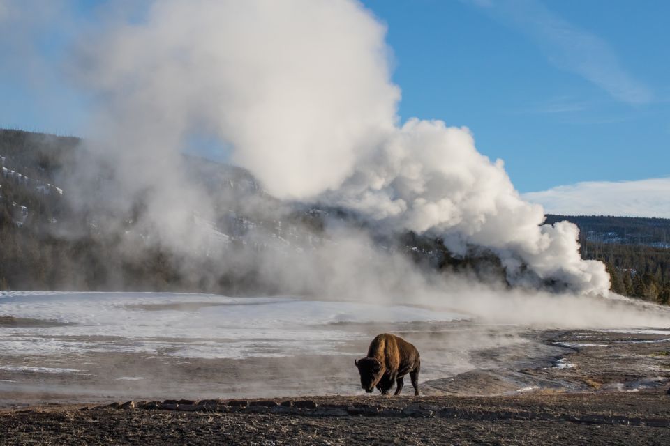 Yellowstone: Old Faithful, Waterfalls, and Wildlife Day Tour - Common questions