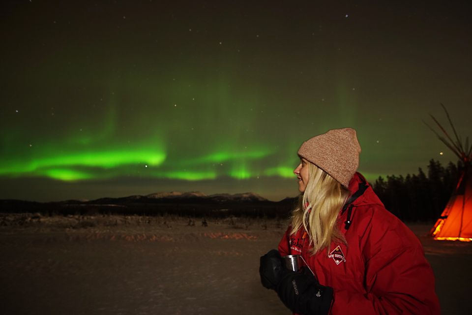 Yukon: Aurora Borealis Late Night Viewing Tour - Sum Up