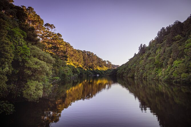 Zealandia - Twilight Guided Eco Wildlife Tour - Sum Up