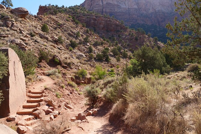 Zion National Park Small Group Tour From Las Vegas - Common questions