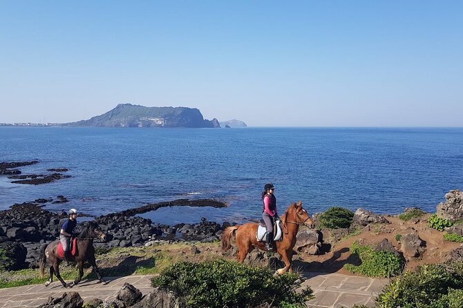 2-Day Tour to Jeju Island by Limousine Taxi - Sum Up