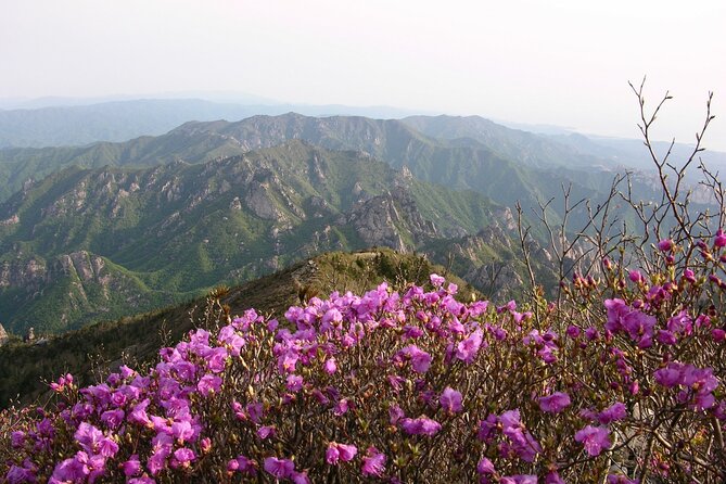 2 Days Private Tour : Mt Seorak & Naksansa Temple & Nami Island From Seoul - Common questions