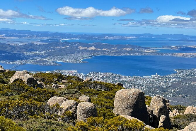 2-Hour Return Kunanyi/Mt Wellington Explorer Bus - Sum Up