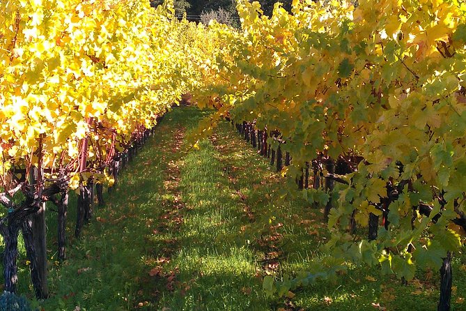 6 Hour Napa or Sonoma Valley Wine Tour by Private SUV - Sum Up