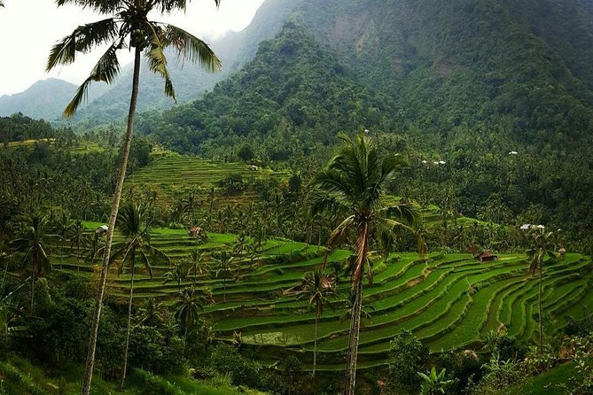 All Inclusive Bali Sekumpul Waterfalls Trekking Tour - Common questions