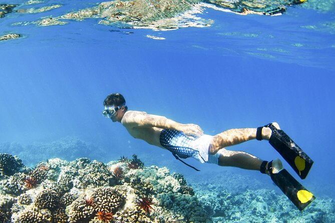 All Inclusive Blue Lagoon Snorkeling With Bali ATV Quad Adventure - Participant Requirements and Restrictions