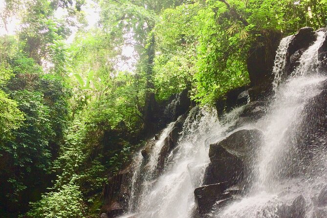 Bali Best Waterfall - Pricing Information Breakdown