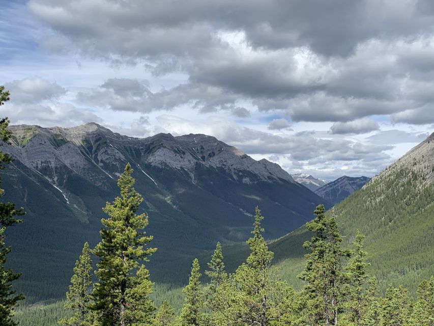 Banff: Bear Country Hiking Tour - Full Day Hike /6hrs - Sum Up