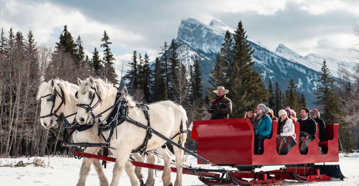Banff: Family Friendly Horse-Drawn Sleigh Ride - Common questions