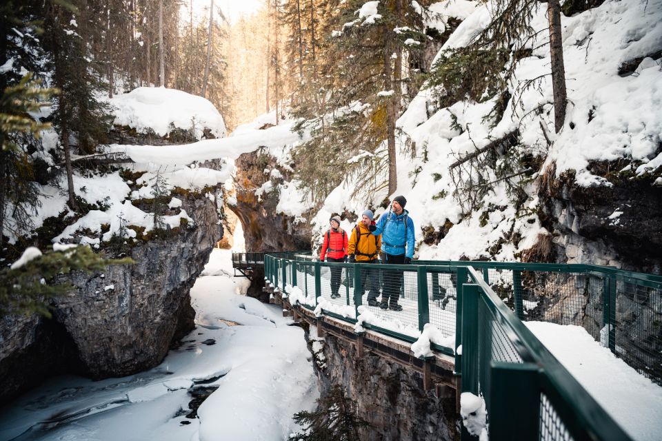 Banff: Morning or Afternoon Johnston Canyon Icewalk - Experience Highlights