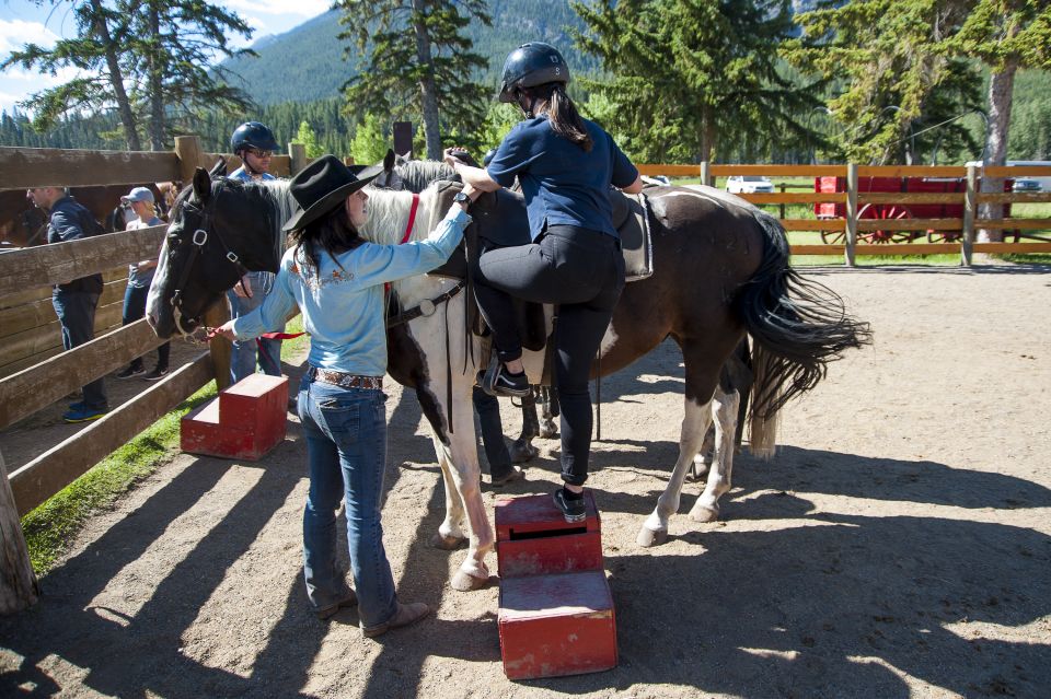 Banff National Park: 2-Hour Sundance Loop Horseback Ride - Customer Reviews