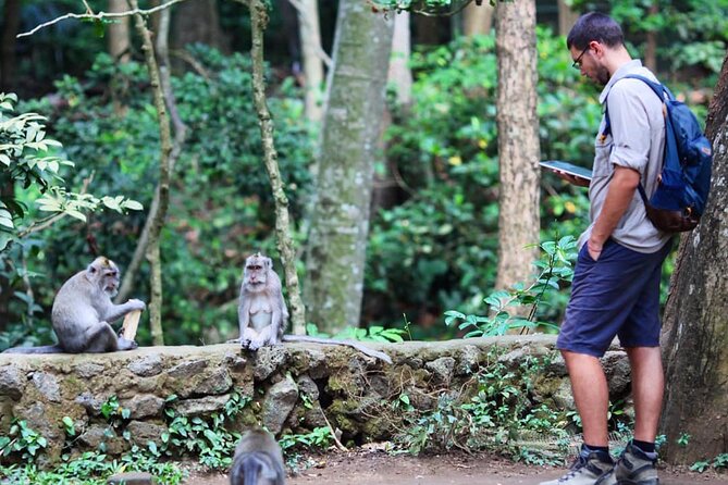 Best of Ubud With Monkey Forest, Rice Terrace, Temple, Waterfall - Common questions