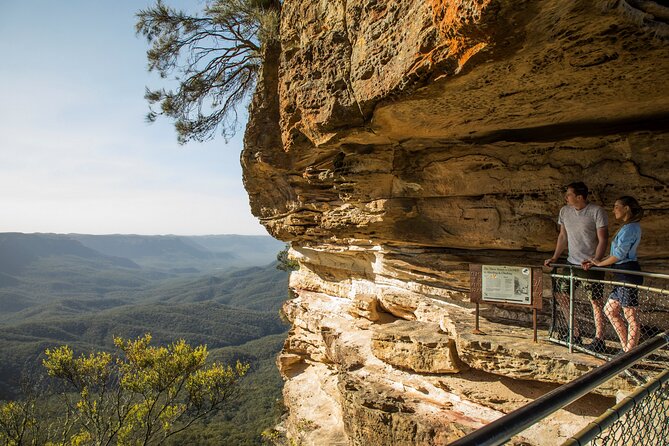 Blue Mountains Sunset Tour With Wildlife From Sydney - Host Responses and Improvements