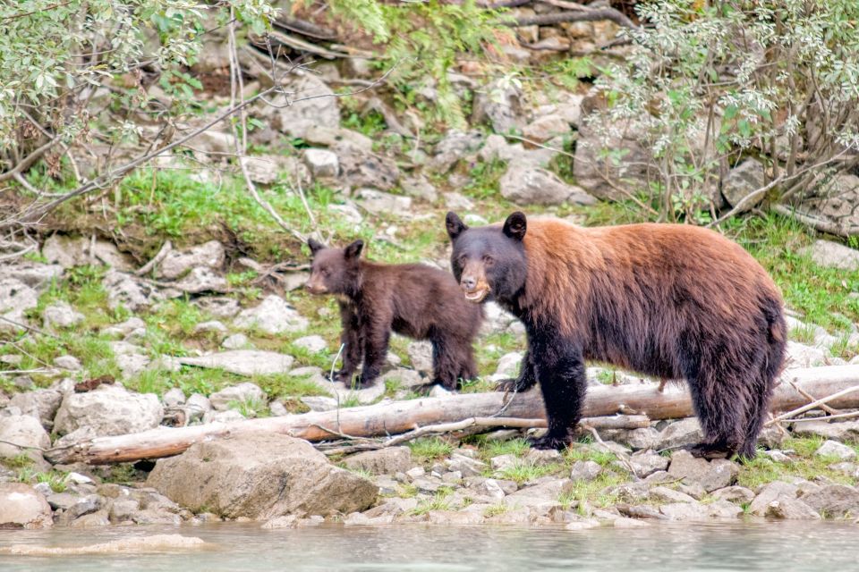 Canada 7–Day National Parks Camping Tour From Seattle - Recreational Experiences Included