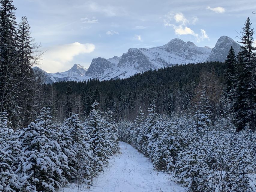 Canmore: Lost Towns and Untold Stories - Hiking Tour 3hrs - Experience Highlights