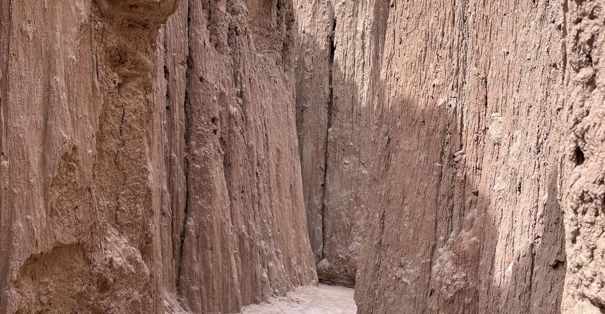 Cathedral Gorge State Park and Area 51 Day Tour From Las Veg - Booking Details