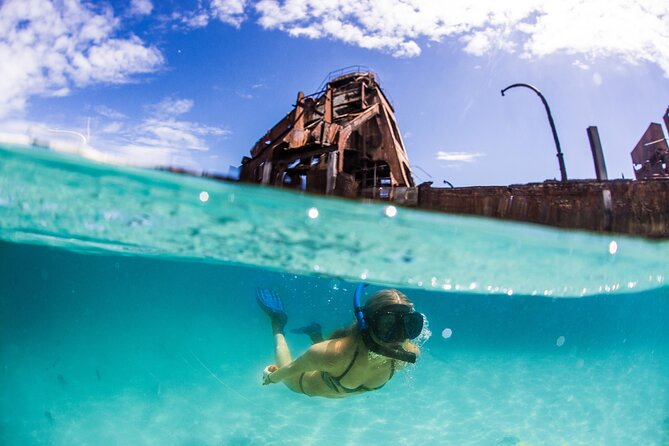 Day Cruise to Tangalooma Island Resort on Moreton Island - Sum Up