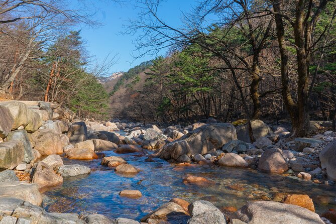 Day Trip to Mount Seorak and Naksansa Temple From Seoul - Common questions