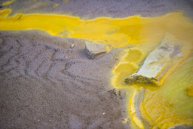 Devils Bath Experience - Private Tour to Wai-O-Tapu & Lake Taupo - Contact Information