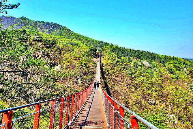 DMZ Full Day Tour With Suspension Bridge - Additional Information