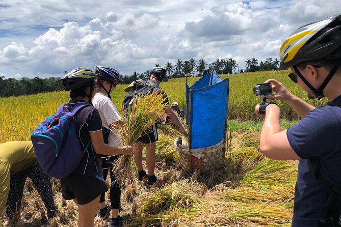 Downhill Cycling Tour Ubud Through Jungle and Rice Terrace - Refund and Changes Policy
