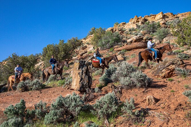 East Zion Horseback Riding Experience  - Zion National Park - Expectations and Requirements