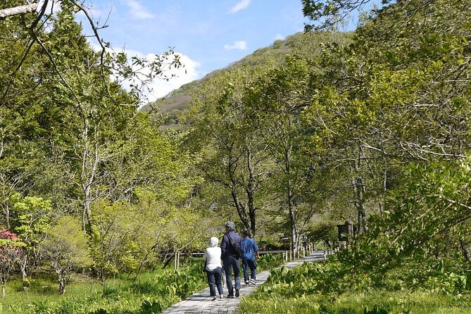 Easygoing Nature Walk in Hakone Tour - Common questions