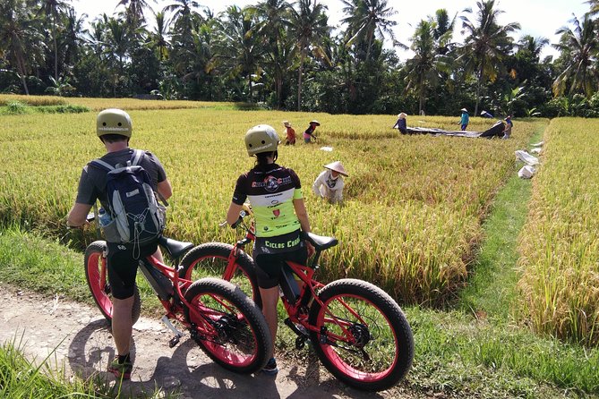Electric Bike Tour in Ubud - Sum Up