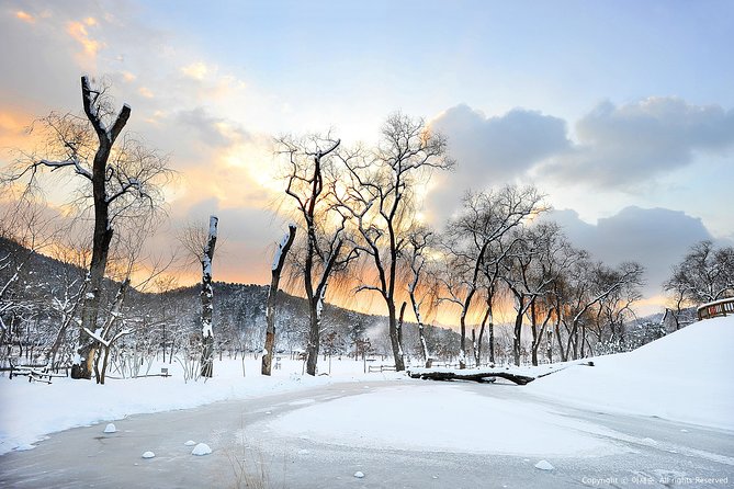 Elysian Gangchon Ski Resort With Nami Island Day Tour From Seoul - Common questions