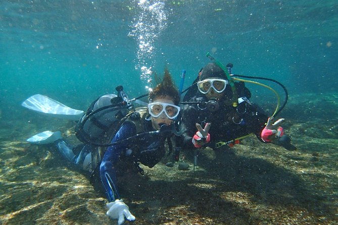Experience Diving! ! Scuba Diving in the Sea of Japan! ! if You Are Not Confident in Swimming, It Is - Sum Up