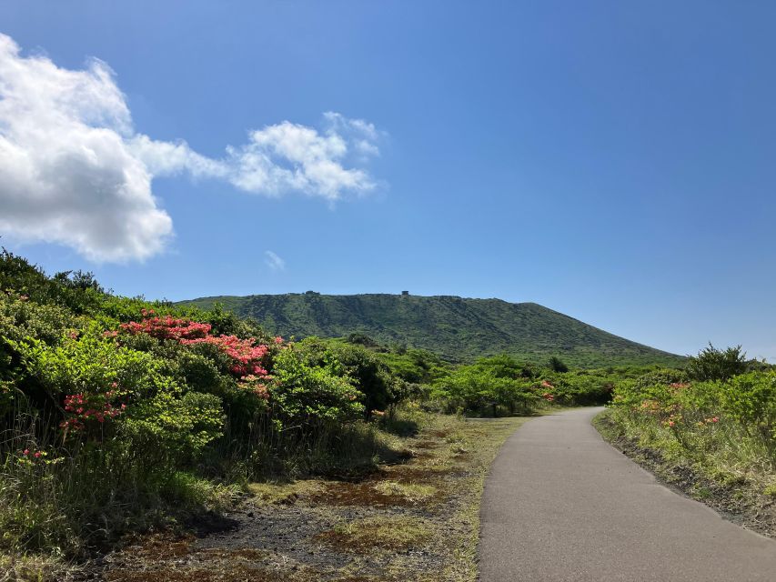 Feel the Volcano by Trekking at Mt.Mihara - Common questions