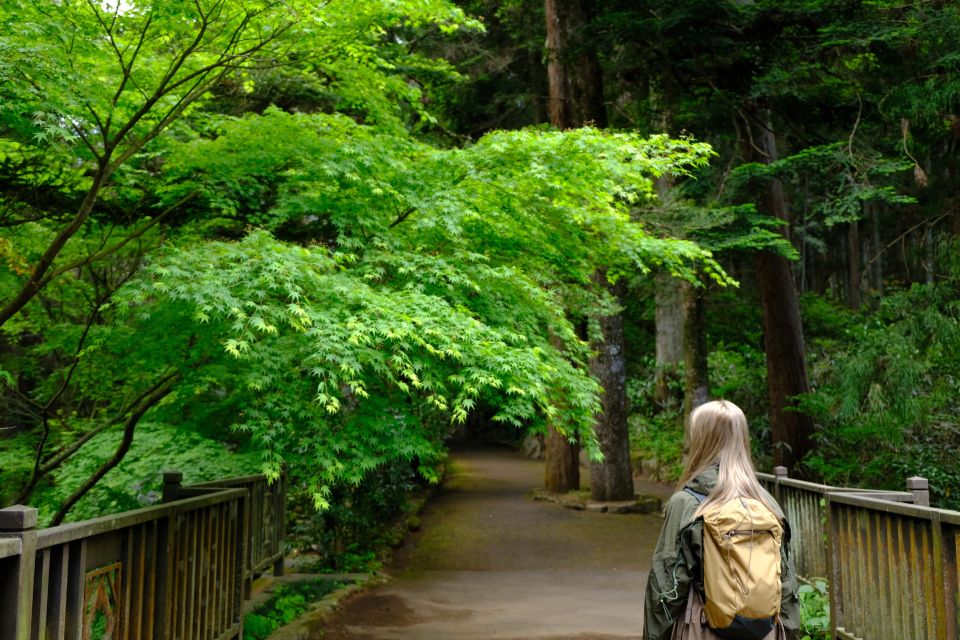 Fm Odawara: Forest Bathing and Onsen With Healing Power - Transportation and Accessibility