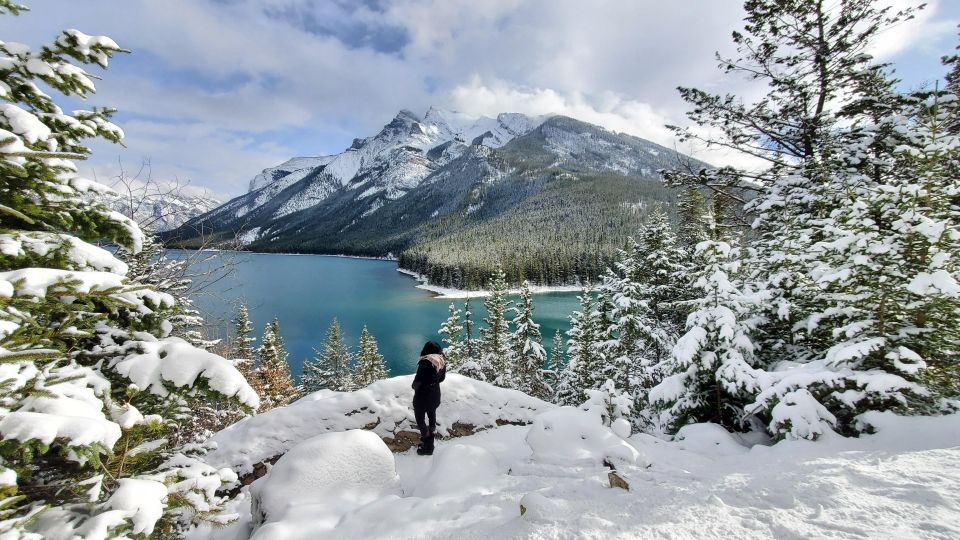 From Calgary: Banff National Park Day Trip - Customer Satisfaction and Recommendations
