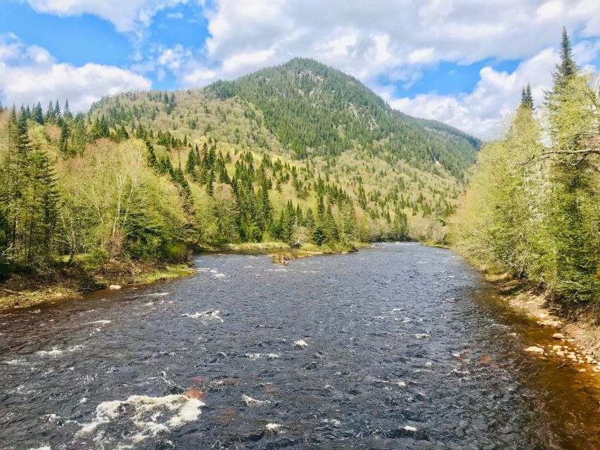 From Quebec City: Jacques-Cartier National Park Hiking Tour - Guide and Group Details