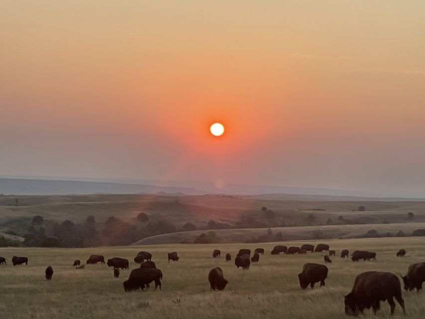 From Rapid City: Badlands National Park Trip With Wall Drug - Wall Drug Visit