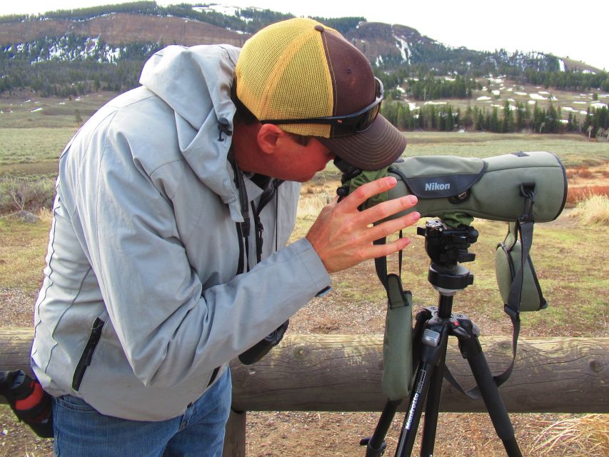 From West Yellowstone: Lamar Valley Wildlife Tour by Van - Sum Up