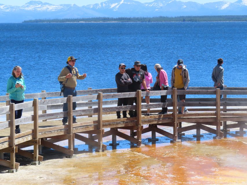 From West Yellowstone: Lower Loop Active Van Tour - Lunch Stop and Scenic Views