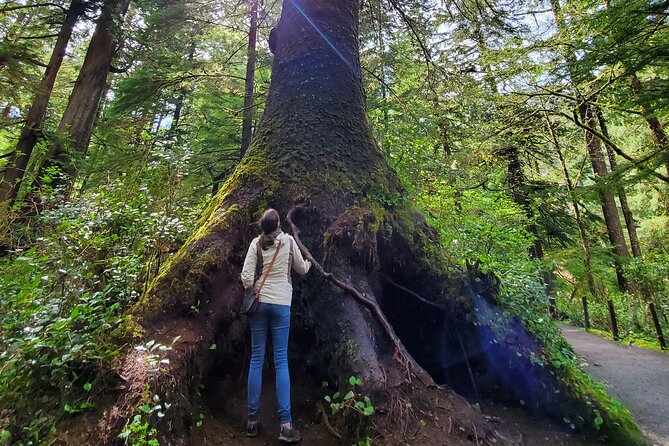 Full-Day Guided Oregon Coast Tour From Portland - Memorable Tour Experiences