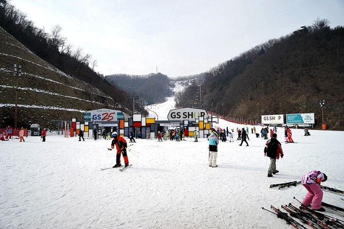 Full Day Private Tour Nami Island & Gangchon Elysian Ski - Common questions