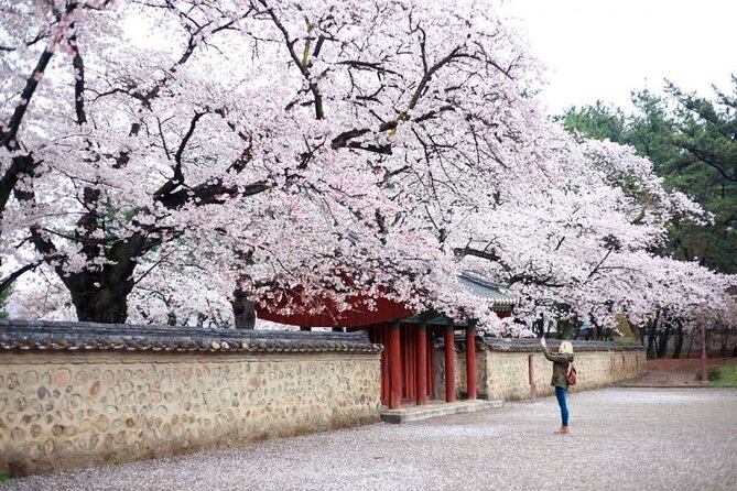 Full-Day Small Group Gyeongju History Tour From Seoul - Common questions