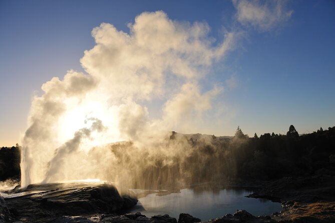 Full-Day Te Puia Geothermal Valley Experience From Auckland - How to Book Your Experience